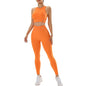 Women's Sports Fitness Yoga Running Top Suit